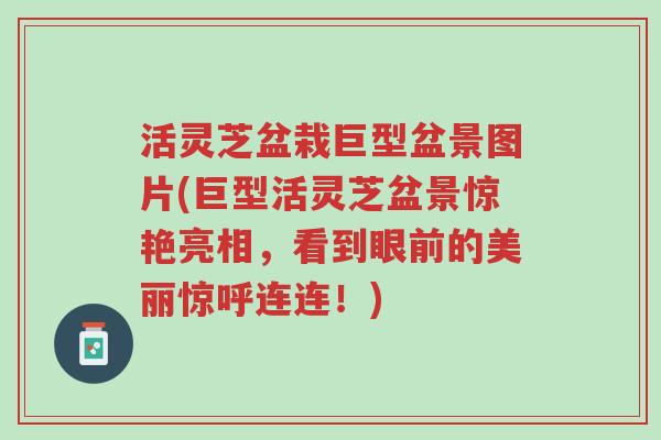 活灵芝盆栽巨型盆景图片(巨型活灵芝盆景惊艳亮相,看到眼前的美丽惊呼连连!)-第1张图片-超越 活灵芝盆栽巨型盆景图片(巨型活灵芝盆景惊艳亮相,看到眼前的美丽惊呼连连!)-第1张图片-超越