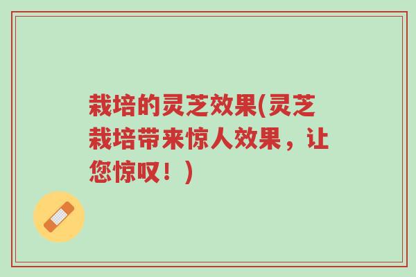 栽培的灵芝效果(灵芝栽培带来惊人效果,让您惊叹!)-第1张图片-超越 栽培的灵芝效果(灵芝栽培带来惊人效果,让您惊叹!)-第1张图片-超越