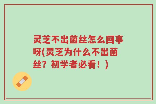 灵芝不出菌丝怎么回事呀(灵芝为什么不出菌丝?初学者必看!)-第1张图片-超越 灵芝不出菌丝怎么回事呀(灵芝为什么不出菌丝?初学者必看!)-第1张图片-超越