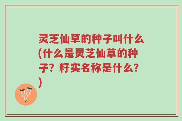 灵芝仙草的种子叫什么(什么是灵芝仙草的种子?籽实名称是什么?)-第1张图片-超越 灵芝仙草的种子叫什么(什么是灵芝仙草的种子?籽实名称是什么?)-第1张图片-超越