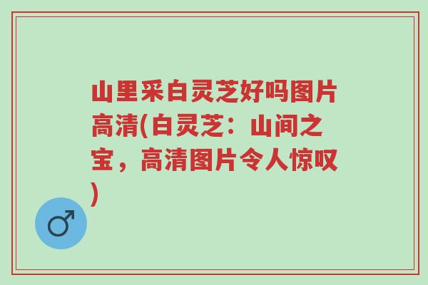 山里采白灵芝好吗图片高清(白灵芝：山间之宝，高清图片令人惊叹)-第1张图片-超越