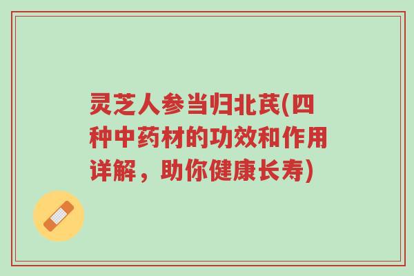 灵芝人参当归北芪(四种中药材的功效和作用详解,助你健康长寿)-第1张图片-超越 灵芝人参当归北芪(四种中药材的功效和作用详解,助你健康长寿)-第1张图片-超越