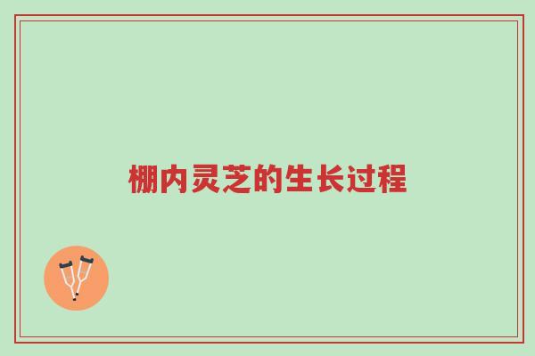 棚内灵芝的生长过程-第1张图片-超越 棚内灵芝的生长过程-第1张图片-超越