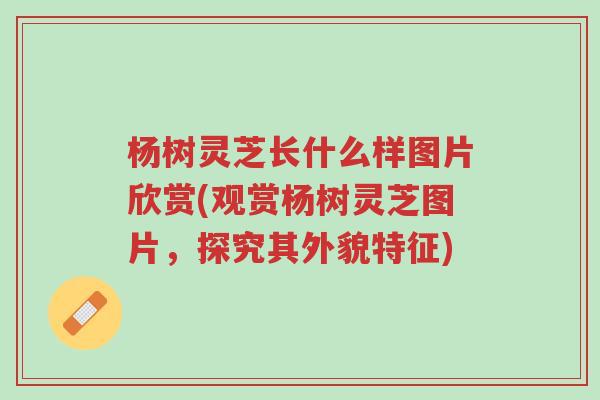 杨树灵芝长什么样图片欣赏(观赏杨树灵芝图片，探究其外貌特征)-第1张图片-超越