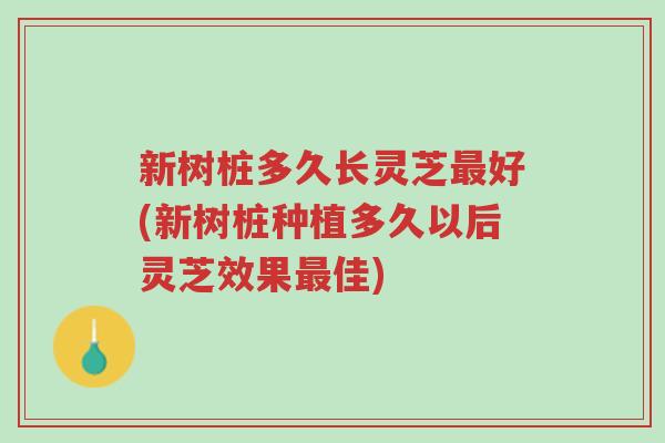 新树桩多久长灵芝最好(新树桩种植多久以后灵芝效果最佳)-第1张图片-超越