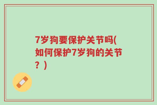 7岁狗要保护关节吗(如何保护7岁狗的关节?)-第1张图片-超越 7岁狗要保护关节吗(如何保护7岁狗的关节?)-第1张图片-超越
