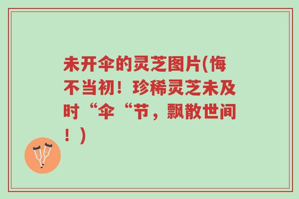 未开伞的灵芝图片(悔不当初！珍稀灵芝未及时“伞“节，飘散世间！)-第1张图片-超越