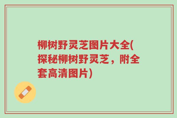 柳树野灵芝图片大全(探秘柳树野灵芝，附全套高清图片)-第1张图片-超越