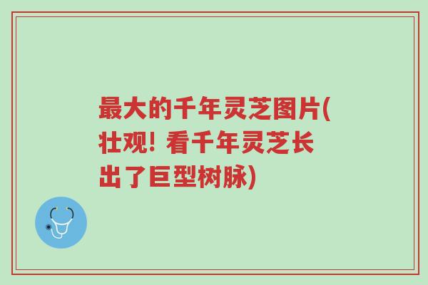 最大的千年灵芝图片(壮观! 看千年灵芝长出了巨型树脉)-第1张图片-超越