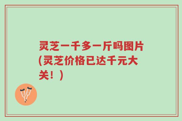 灵芝一千多一斤吗图片(灵芝价格已达千元大关!)-第1张图片-超越 灵芝一千多一斤吗图片(灵芝价格已达千元大关!)-第1张图片-超越
