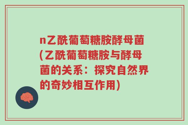 n乙酰葡萄糖胺酵母菌(乙酰葡萄糖胺与酵母菌的关系:探究自然界的奇妙相互作用)-第1张图片-超越 n乙酰葡萄糖胺酵母菌(乙酰葡萄糖胺与酵母菌的关系:探究自然界的奇妙相互作用)-第1张图片-超越