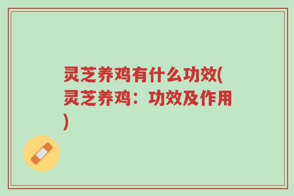 灵芝养鸡有什么功效(灵芝养鸡:功效及作用)-第1张图片-超越 灵芝养鸡有什么功效(灵芝养鸡:功效及作用)-第1张图片-超越
