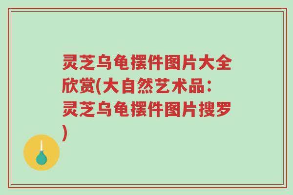 灵芝乌龟摆件图片大全欣赏(大自然艺术品:灵芝乌龟摆件图片搜罗)-第1张图片-超越 灵芝乌龟摆件图片大全欣赏(大自然艺术品:灵芝乌龟摆件图片搜罗)-第1张图片-超越