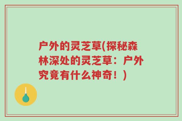 户外的灵芝草(探秘森林深处的灵芝草：户外究竟有什么神奇！)-第1张图片-超越