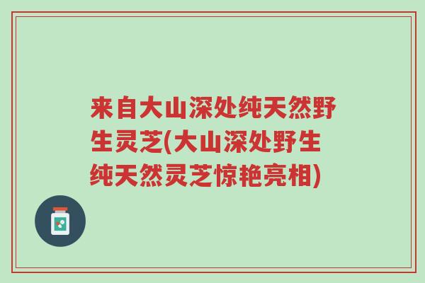 来自大山深处纯天然野生灵芝(大山深处野生纯天然灵芝惊艳亮相)-第1张图片-超越 来自大山深处纯天然野生灵芝(大山深处野生纯天然灵芝惊艳亮相)-第1张图片-超越