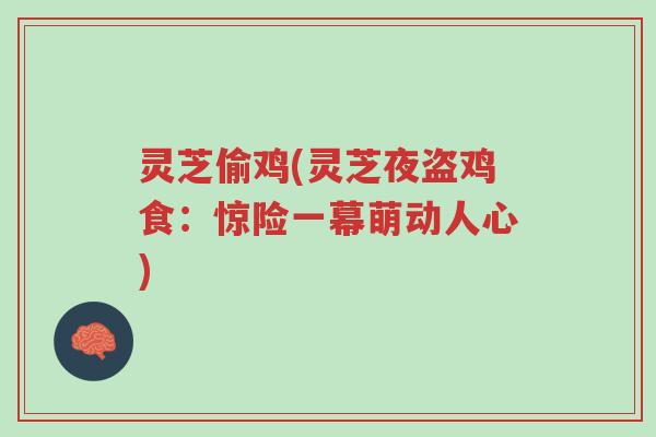 灵芝偷鸡(灵芝夜盗鸡食：惊险一幕萌动人心)-第1张图片-超越