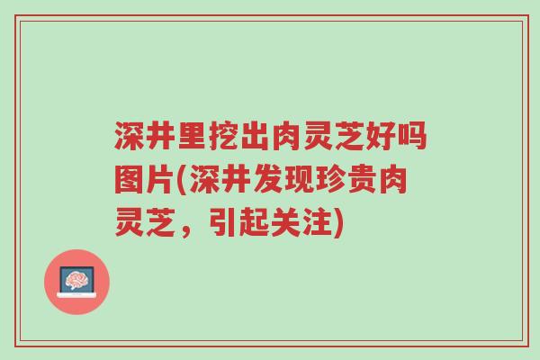 深井里挖出肉灵芝好吗图片(深井发现珍贵肉灵芝,引起关注)-第1张图片-超越 深井里挖出肉灵芝好吗图片(深井发现珍贵肉灵芝,引起关注)-第1张图片-超越