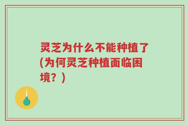 灵芝为什么不能种植了(为何灵芝种植面临困境？)-第1张图片-超越