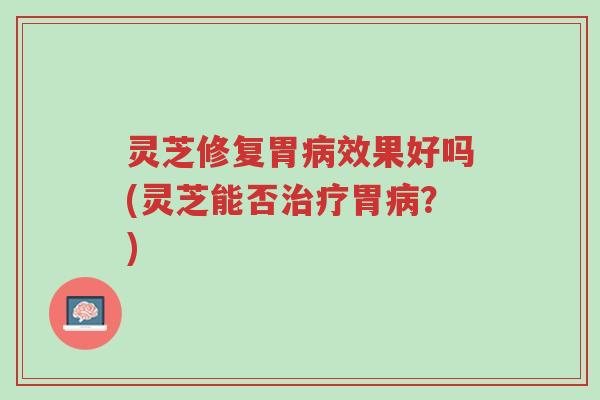 灵芝修复胃病效果好吗(灵芝能否治疗胃病？)-第1张图片-超越