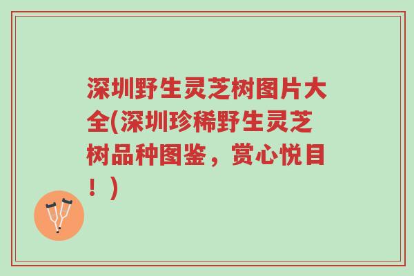 深圳野生灵芝树图片大全(深圳珍稀野生灵芝树品种图鉴，赏心悦目！)-第1张图片-超越