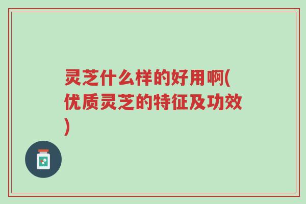 灵芝什么样的好用啊(优质灵芝的特征及功效)-第1张图片-超越 灵芝什么样的好用啊(优质灵芝的特征及功效)-第1张图片-超越