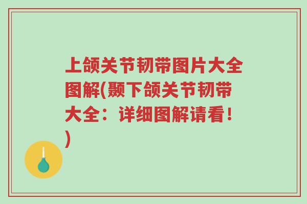 上颌关节韧带图片大全图解(颞下颌关节韧带大全：详细图解请看！)-第1张图片-超越