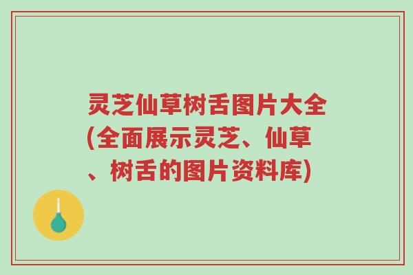 灵芝仙草树舌图片大全(全面展示灵芝、仙草、树舌的图片资料库)-第1张图片-超越 灵芝仙草树舌图片大全(全面展示灵芝、仙草、树舌的图片资料库)-第1张图片-超越