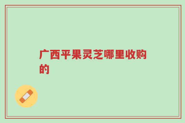 广西平果灵芝哪里收购的-第1张图片-超越
