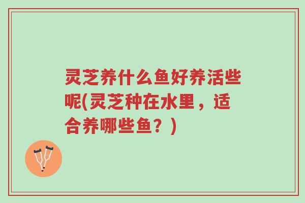 灵芝养什么鱼好养活些呢(灵芝种在水里,适合养哪些鱼?)-第1张图片-超越 灵芝养什么鱼好养活些呢(灵芝种在水里,适合养哪些鱼?)-第1张图片-超越