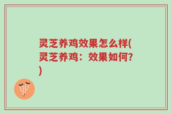 灵芝养鸡效果怎么样(灵芝养鸡:效果如何?)-第1张图片-超越 灵芝养鸡效果怎么样(灵芝养鸡:效果如何?)-第1张图片-超越