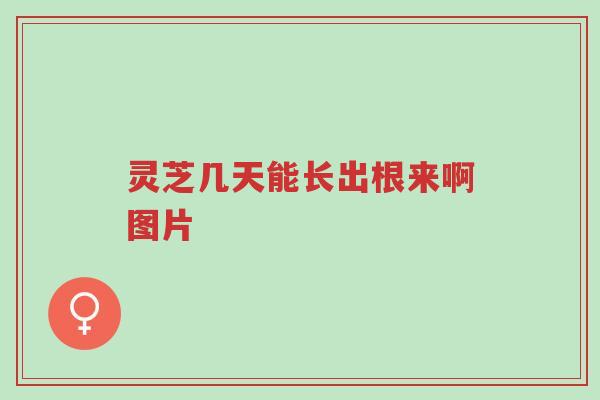 灵芝几天能长出根来啊图片-第1张图片-超越 灵芝几天能长出根来啊图片-第1张图片-超越
