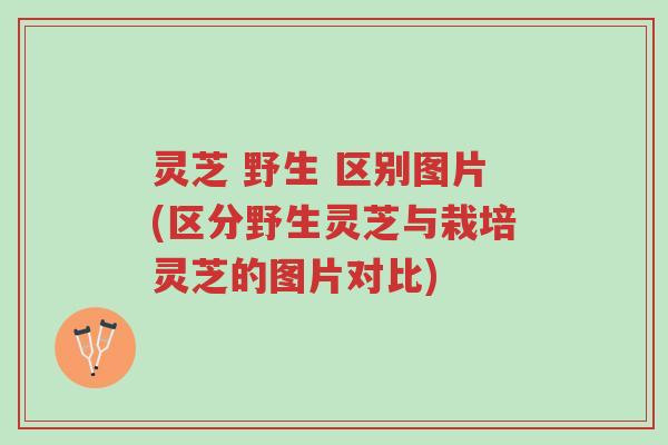 灵芝 野生 区别图片(区分野生灵芝与栽培灵芝的图片对比)-第1张图片-超越