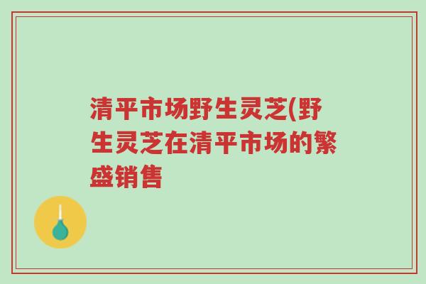 清平市场野生灵芝(野生灵芝在清平市场的繁盛销售-第1张图片-超越 清平市场野生灵芝(野生灵芝在清平市场的繁盛销售-第1张图片-超越