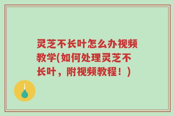 灵芝不长叶怎么办视频教学(如何处理灵芝不长叶,附视频教程!)-第1张图片-超越 灵芝不长叶怎么办视频教学(如何处理灵芝不长叶,附视频教程!)-第1张图片-超越