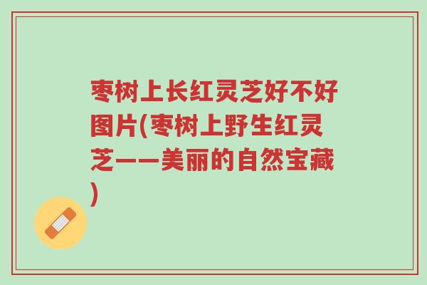 枣树上长红灵芝好不好图片(枣树上野生红灵芝——美丽的自然宝藏)-第1张图片-超越 枣树上长红灵芝好不好图片(枣树上野生红灵芝——美丽的自然宝藏)-第1张图片-超越