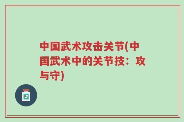 中国武术攻击关节(中国武术中的关节技:攻与守)-第1张图片-超越 中国武术攻击关节(中国武术中的关节技:攻与守)-第1张图片-超越