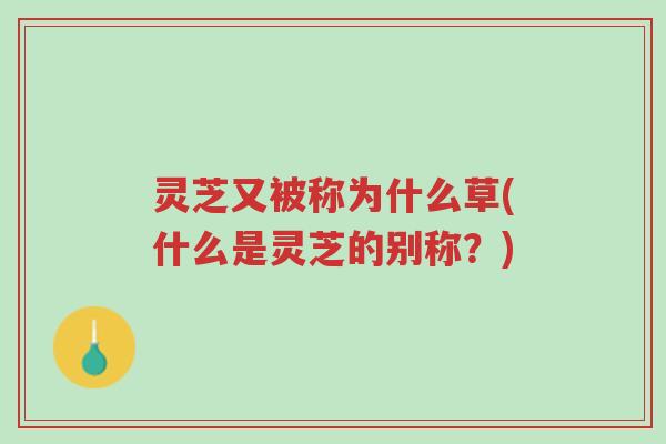 灵芝又被称为什么草(什么是灵芝的别称?)-第1张图片-超越 灵芝又被称为什么草(什么是灵芝的别称?)-第1张图片-超越