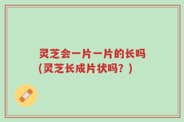 灵芝会一片一片的长吗(灵芝长成片状吗?)-第1张图片-超越 灵芝会一片一片的长吗(灵芝长成片状吗?)-第1张图片-超越