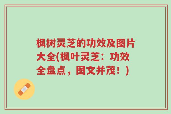 枫树灵芝的功效及图片大全(枫叶灵芝：功效全盘点，图文并茂！)-第1张图片-超越