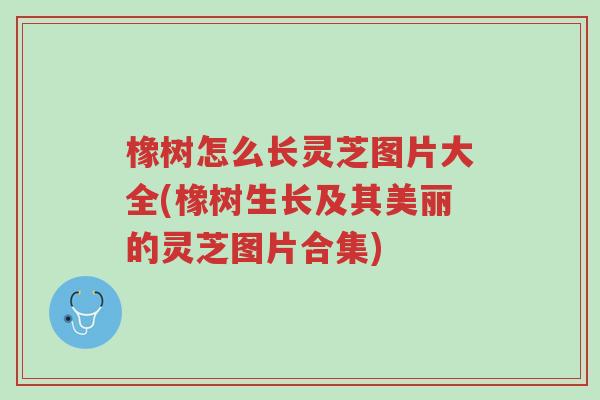 橡树怎么长灵芝图片大全(橡树生长及其美丽的灵芝图片合集)-第1张图片-超越