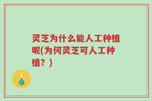灵芝为什么能人工种植呢(为何灵芝可人工种植？)-第1张图片-超越
