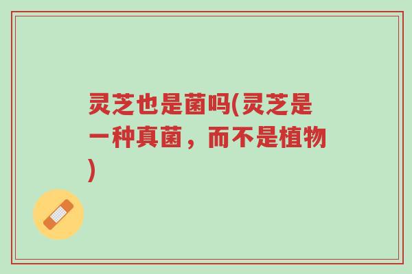 灵芝也是菌吗(灵芝是一种真菌,而不是植物)-第1张图片-超越 灵芝也是菌吗(灵芝是一种真菌,而不是植物)-第1张图片-超越