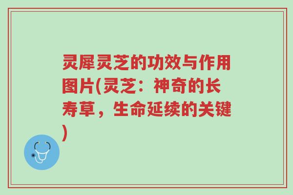 灵犀灵芝的功效与作用图片(灵芝:神奇的长寿草,生命延续的关键)-第1张图片-超越 灵犀灵芝的功效与作用图片(灵芝:神奇的长寿草,生命延续的关键)-第1张图片-超越