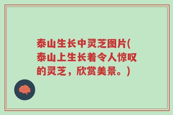 泰山生长中灵芝图片(泰山上生长着令人惊叹的灵芝，欣赏美景。)-第1张图片-超越