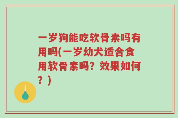 一岁狗能吃软骨素吗有用吗(一岁幼犬适合食用软骨素吗？效果如何？)-第1张图片-超越