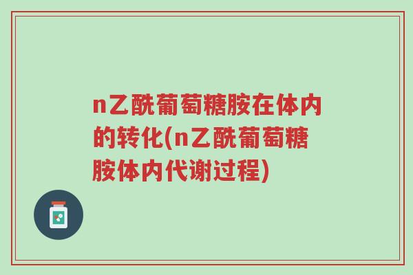 n乙酰葡萄糖胺在体内的转化(n乙酰葡萄糖胺体内代谢过程)-第1张图片-超越 n乙酰葡萄糖胺在体内的转化(n乙酰葡萄糖胺体内代谢过程)-第1张图片-超越