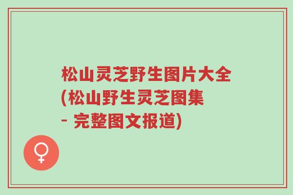 松山灵芝野生图片大全(松山野生灵芝图集 - 完整图文报道)-第1张图片-超越 松山灵芝野生图片大全(松山野生灵芝图集 - 完整图文报道)-第1张图片-超越