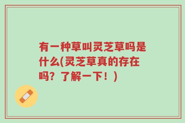 有一种草叫灵芝草吗是什么(灵芝草真的存在吗?了解一下!)-第1张图片-超越 有一种草叫灵芝草吗是什么(灵芝草真的存在吗?了解一下!)-第1张图片-超越