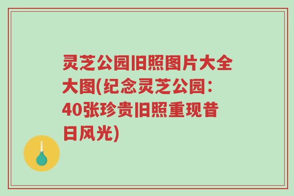 灵芝公园旧照图片大全大图(纪念灵芝公园：40张珍贵旧照重现昔日风光)-第1张图片-超越