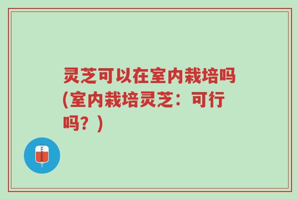 灵芝可以在室内栽培吗(室内栽培灵芝：可行吗？)-第1张图片-超越